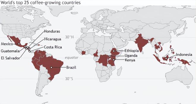 熊猫体育·(中国)官方网站咖啡种植并不容易气候对咖啡种植的影响(图3)