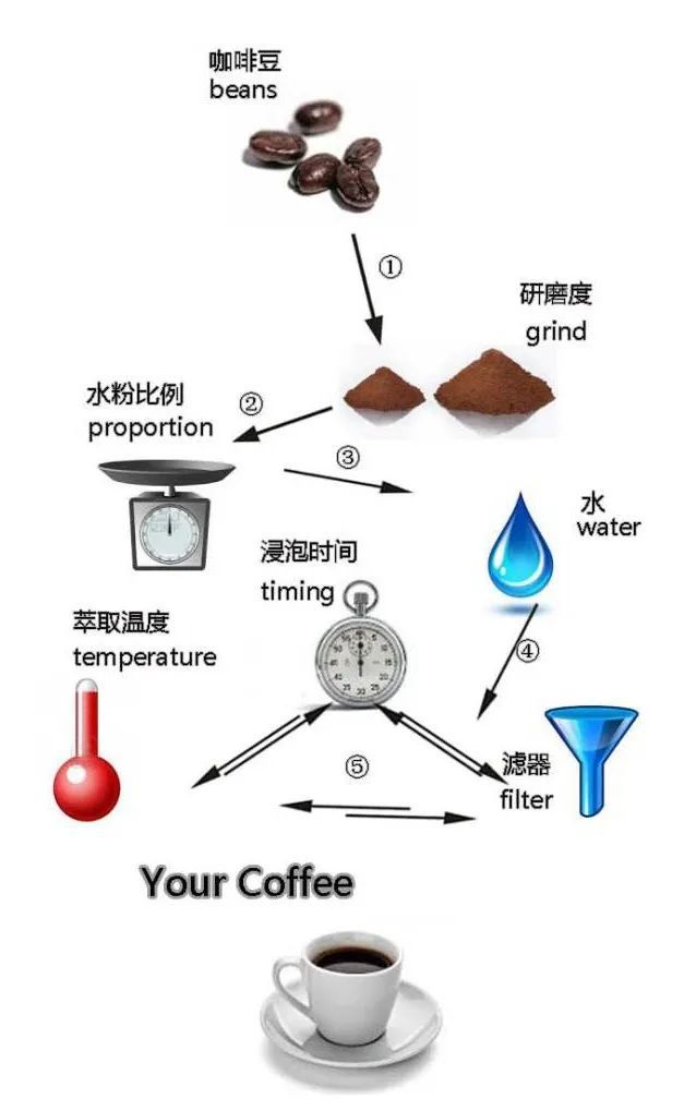 熊猫体育为了冲出一杯好咖啡科学家竟然这么努力(图4)